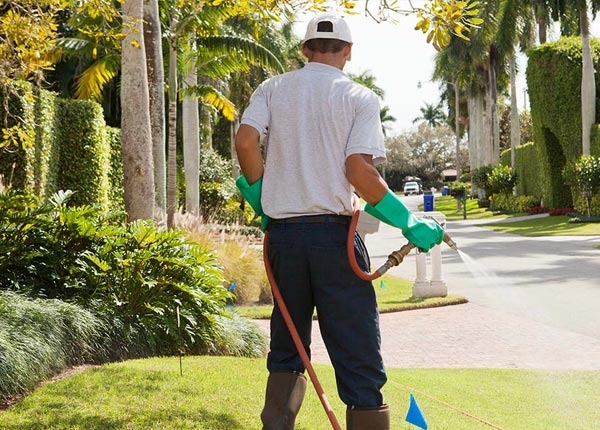 About Bassett NE Pest Control